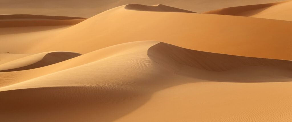 desert-2